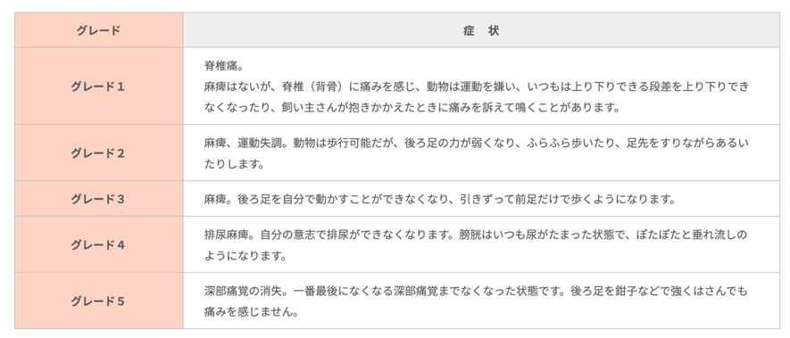 椎間板ヘルニア 大津動物クリニック